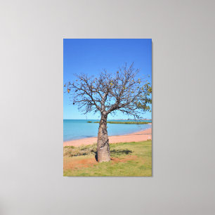 Amazing Baobab Canvas