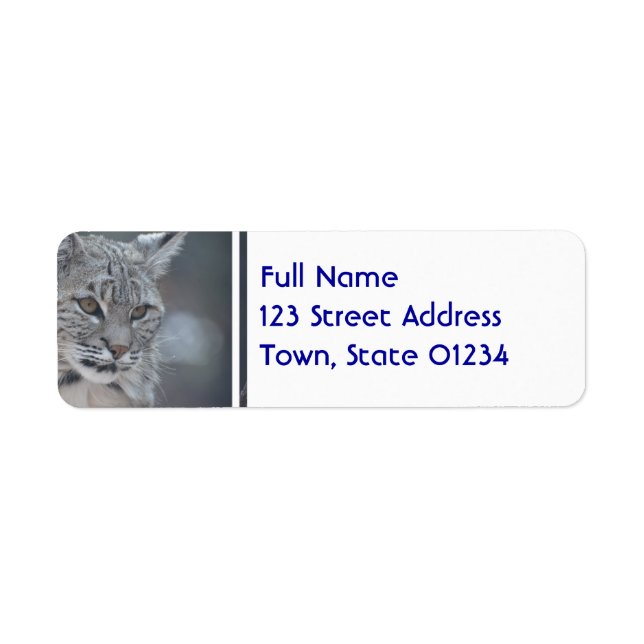 Amazing Bobcat (Front)