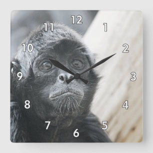 Amazing Close-Up of a Spider Monkey Square Wall Clock