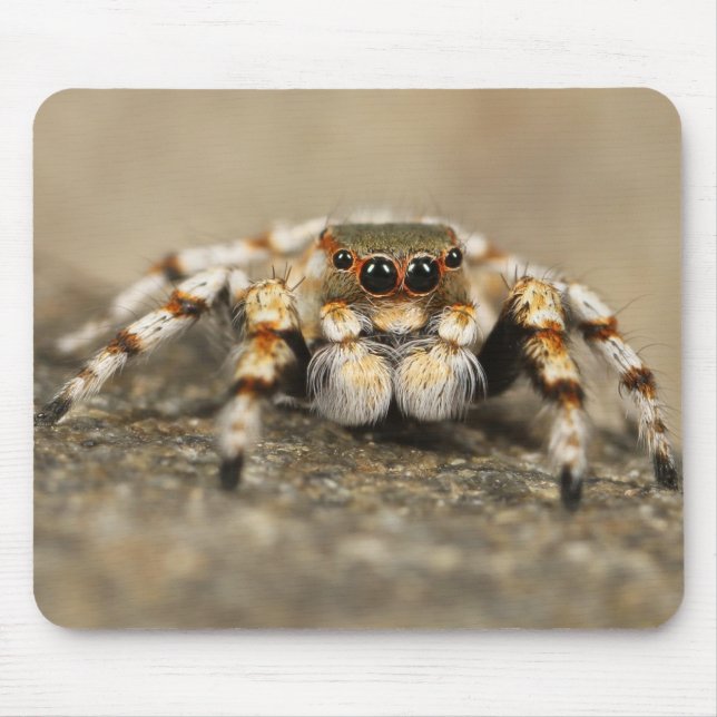 Amazing Close-Up of a Tarantula Spider Mouse Mat (Front)