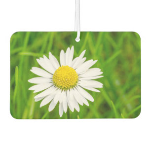 Amazing Daisy Air Freshener