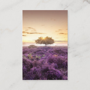 Amazing dawn sunrise single tree & purple heather business card