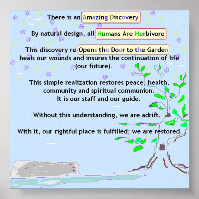 Amazing Discovery Poster (Front)