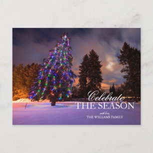 Amazing dusk light and Coloured Christmas tree Holiday Postcard