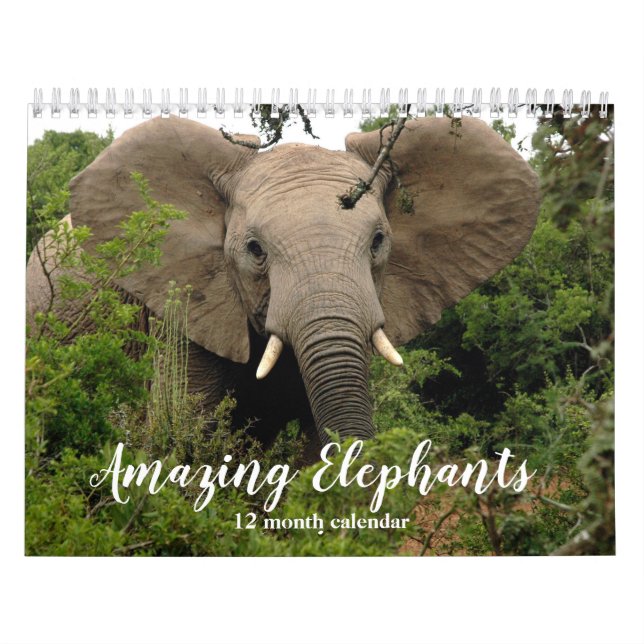 Amazing Elephants 2026 Calendar (Cover)