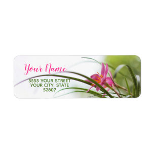 Amazing Fairy Lily Return Address Labels