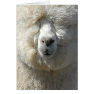 Amazing Gandalf the alpaca