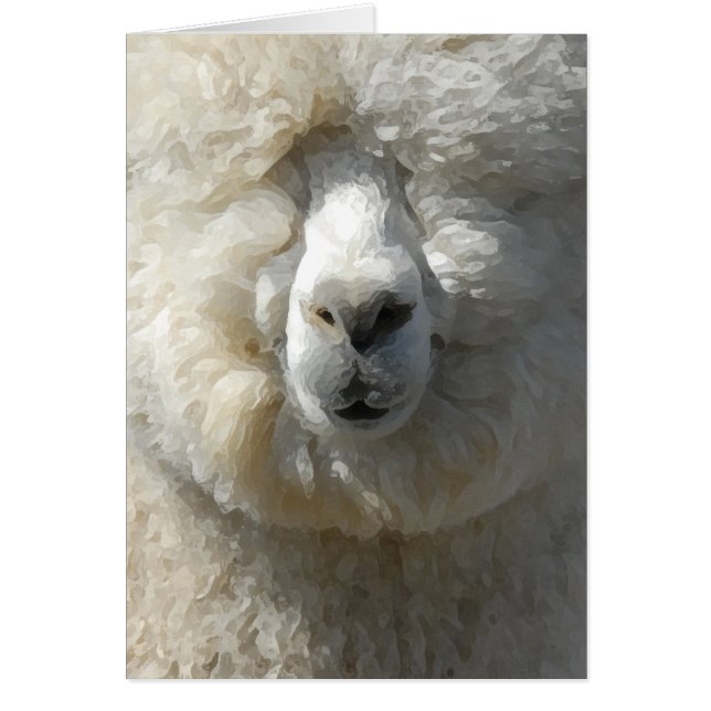 Amazing Gandalf the alpaca (Front)