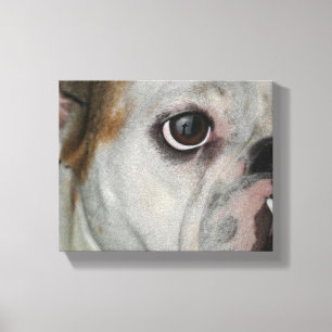 Amazing Grace Canvas Print