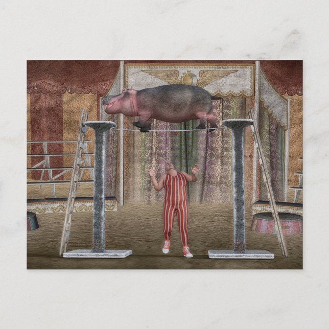 Amazing Hippopotamus Holiday Postcard (Front)