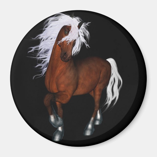 Amazing horse magnet (Front)