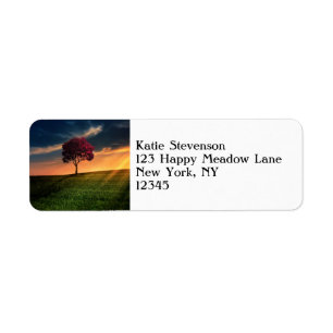 Amazing Landscape with a Red Tree at Sunset