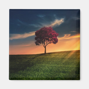 Amazing Landscape with a Red Tree at Sunset Magnet