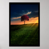 Amazing Landscape with a Red Tree at Sunset