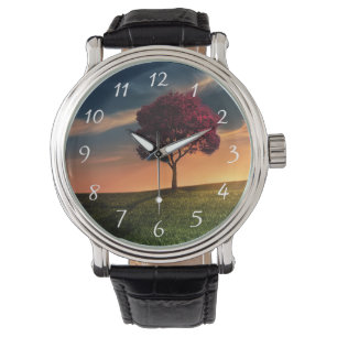 Amazing Landscape with a Red Tree at Sunset Watch