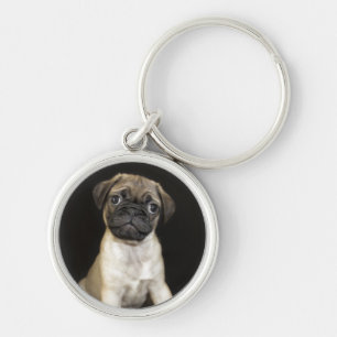 Amazing Little Pug Puppy Key Ring