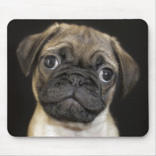 Amazing Little Pug Puppy Mouse Mat