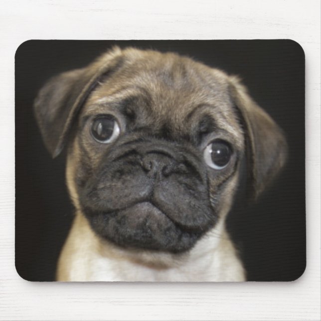 Amazing Little Pug Puppy Mouse Mat (Front)