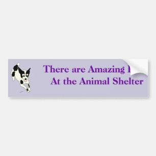 Amazing Pets Bumper Sticker 17
