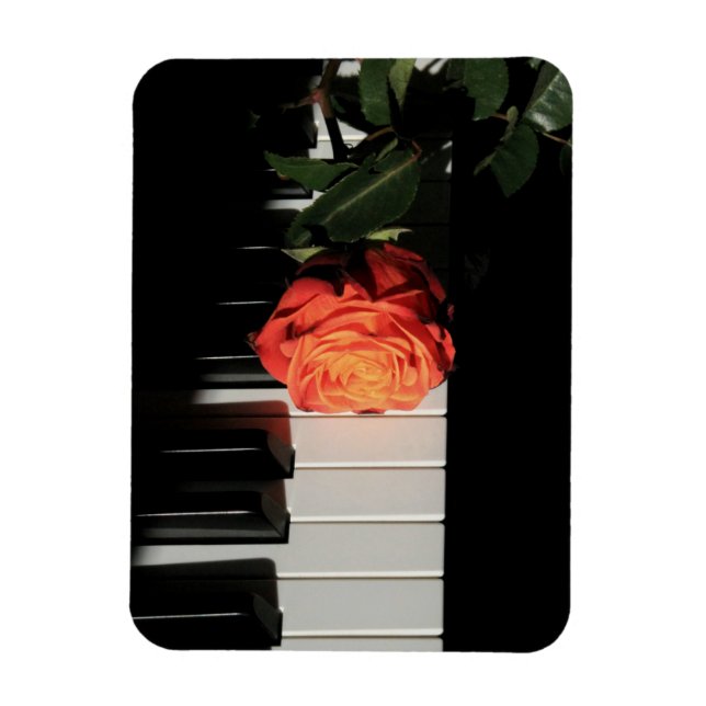 Amazing Piano Artwork Magnet (Vertical)