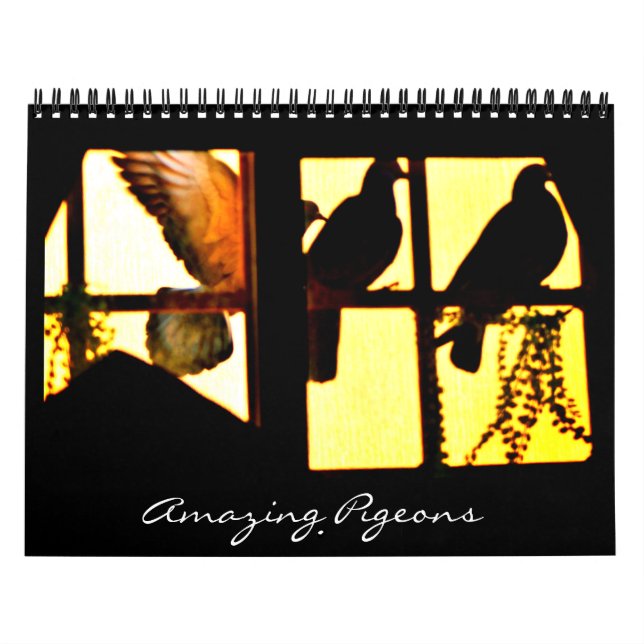 Amazing Pigeons Calendar (Cover)