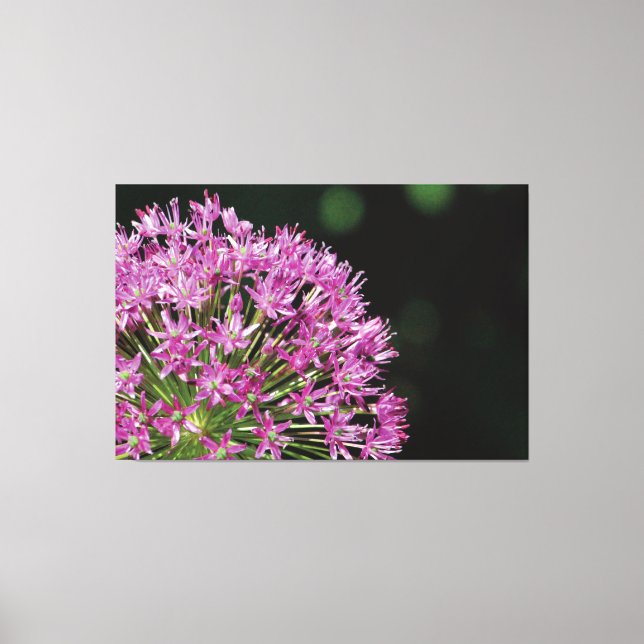 Amazing Purple Stars Canvas Print (Front)