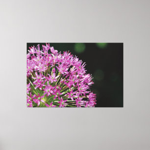 Amazing Purple Stars Canvas Print