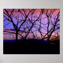 Amazing Purple Sunset with Tree Silhouettes