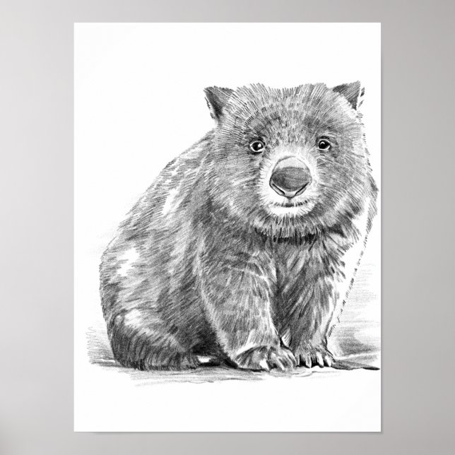 Amazing realistic wombat in pencil drawing style poster (Front)