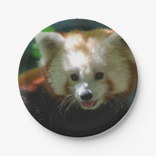 Amazing Red Panda Paper Plate