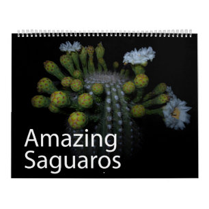 Amazing Saguaros Calendar