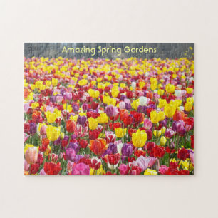 Amazing Spring Gardens puzzles Spring Tulip Flower