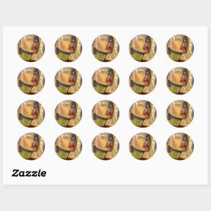 Amazing Stickers