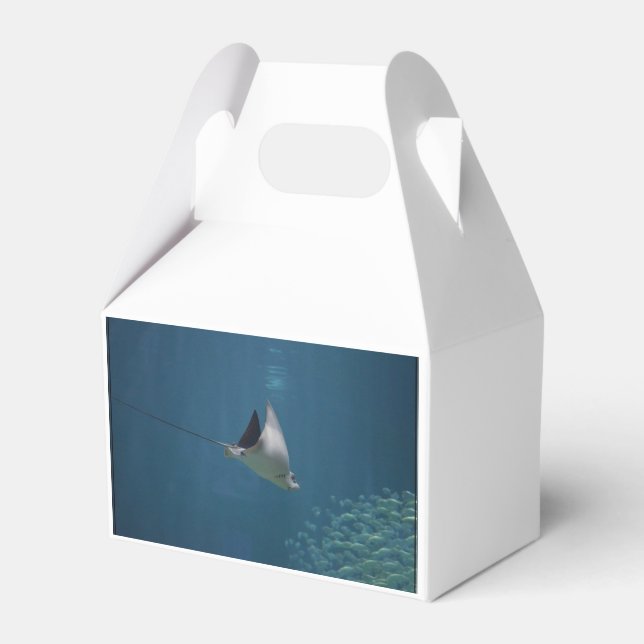 Amazing Stingray Favour Box (Front Side)