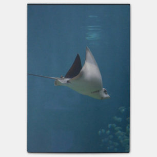 Amazing Stingray Post-it Notes