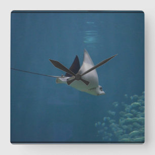 Amazing Stingray Square Wall Clock