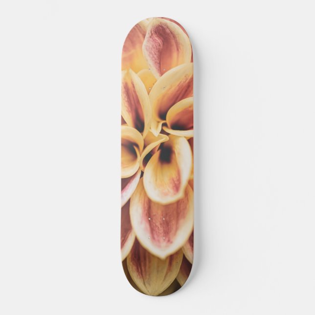 Amazing Summer Dahlia Flower (Floral Art) Skateboard (Front)