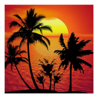 Amazing sunset with palms on tropical beach poster