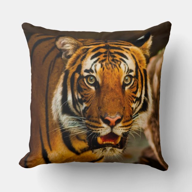 Amazing Tiger closeup Cushion (Front)