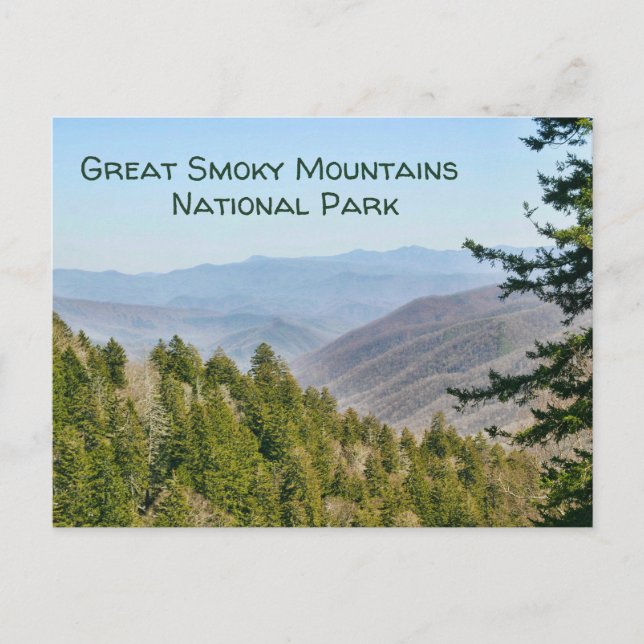 Amazing View Great Smoky Mountains National Park Postcard (Front)