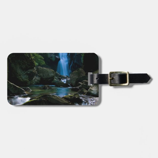Amazing waterfall luggage tag (Front Horizontal)
