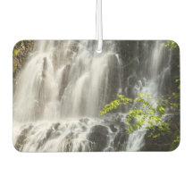 Amazing Waterfalls Air Fresheners