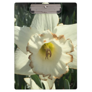 Amazing White Daffodil Clipboard