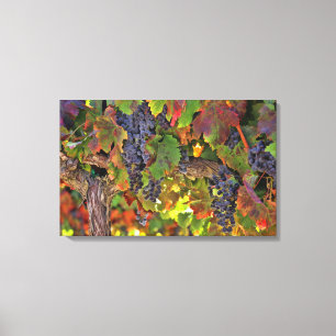 Amazing Wine Country Winery Vineyard Wall Art