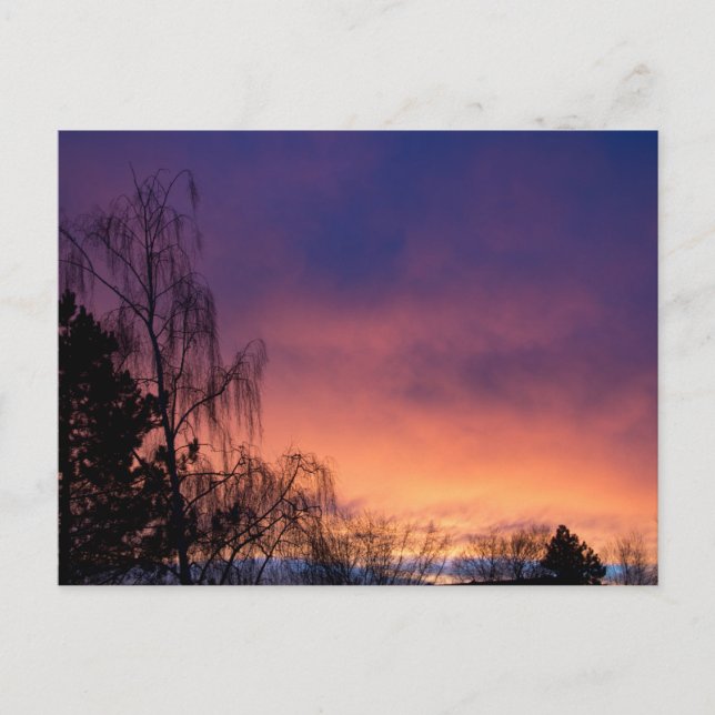 Amazing Winter Dawn Postcard (Front)