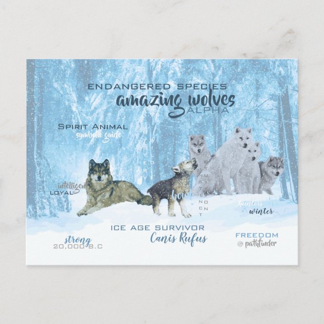 Amazing Wolves Typography | Personalised Postcard (Front)