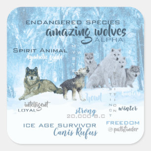 Amazing Wolves Typography   Personalised Square Sticker