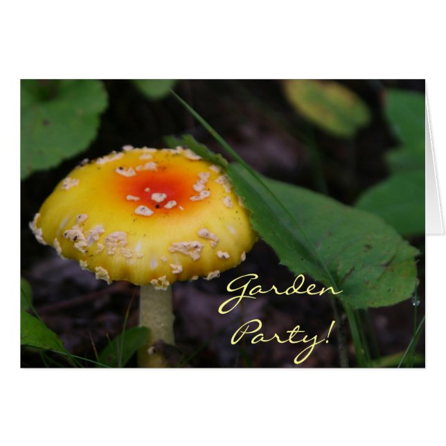 Amazing Yellow Mushroom (Front Horizontal)