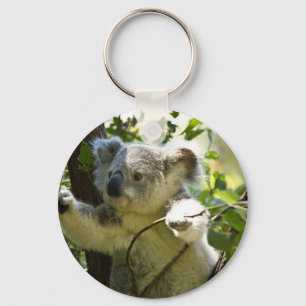 Amazingly cute baby koala in a tree key ring