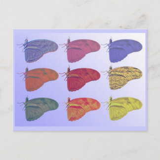 Amazon Butterfly Postcard